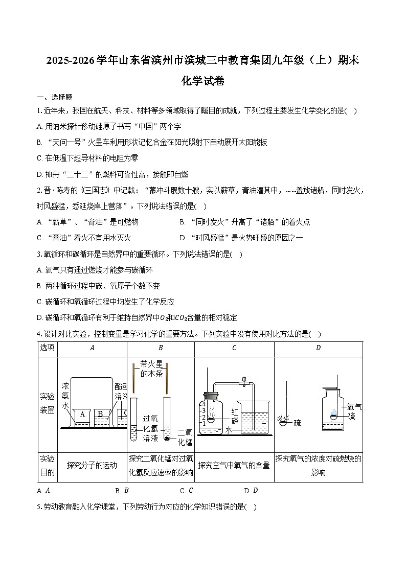 2025-2026学年山东省滨州市滨城三中教育集团九年级（上）期末化学试卷（含答案）第1页