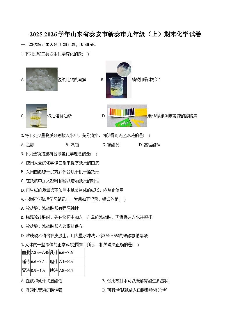 2025-2026学年山东省泰安市新泰市九年级（上）期末化学试卷（含答案）第1页