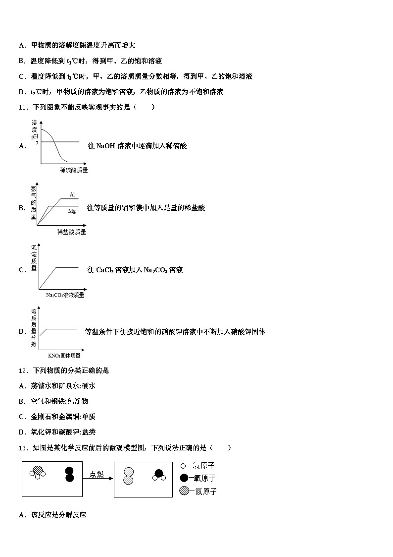 鹰潭市2025-2026学年中考联考化学试卷（含答案解析）第3页
