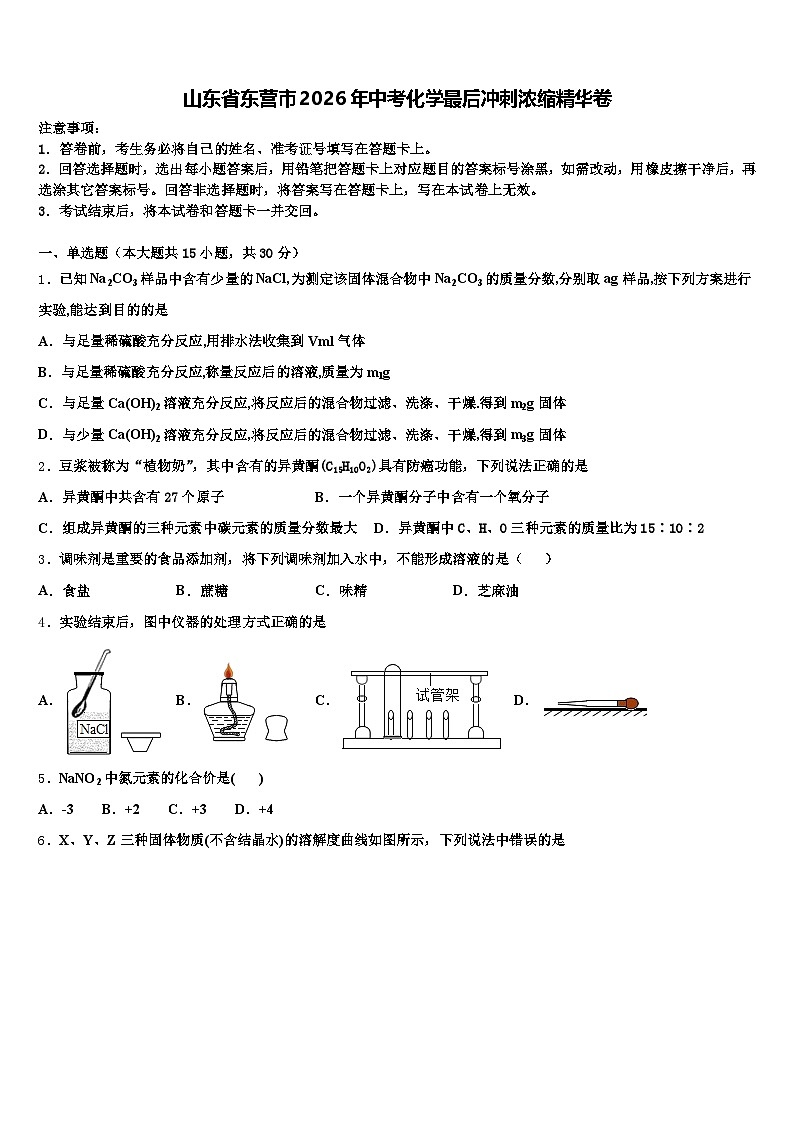 山东省东营市2026年中考化学最后冲刺浓缩精华卷（含答案解析）第1页