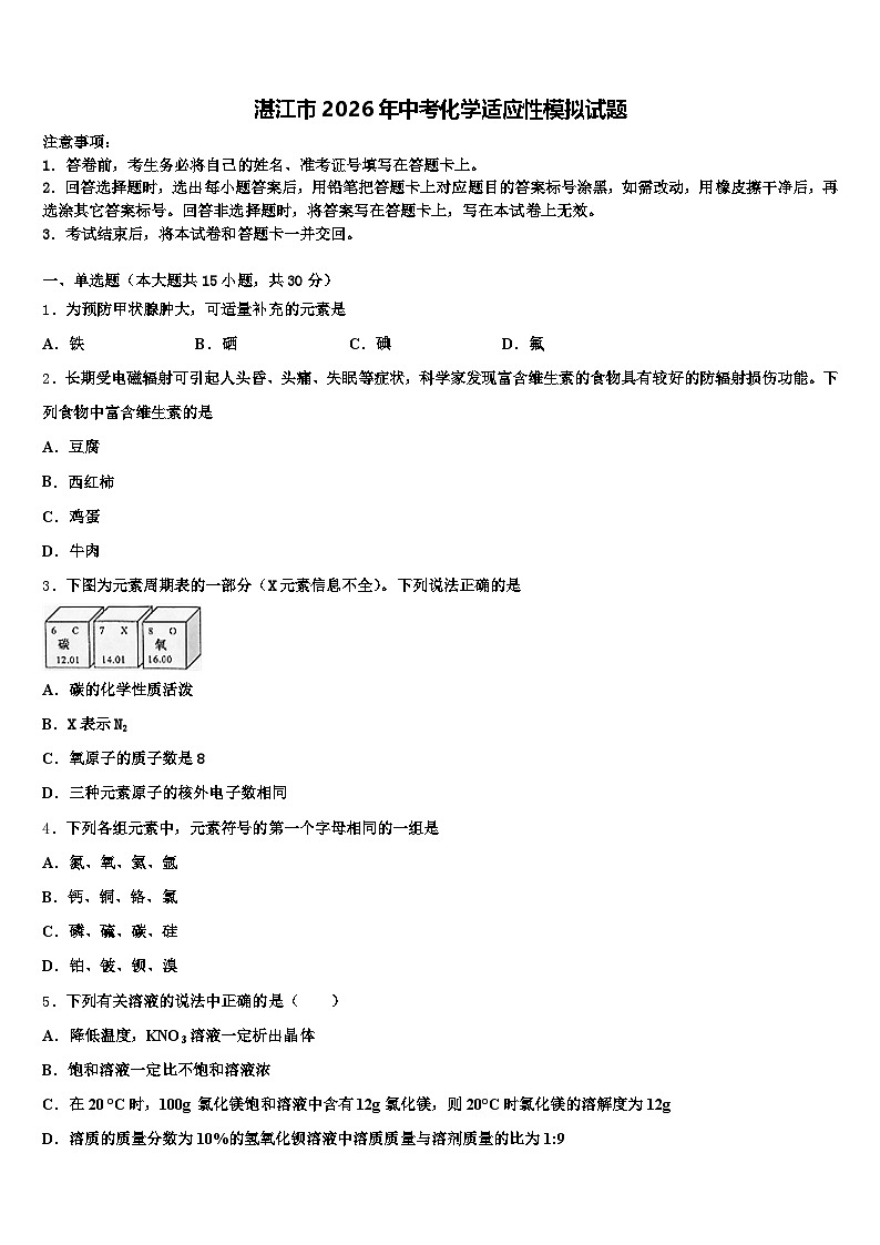 湛江市2026年中考化学适应性模拟试题（含答案解析）第1页