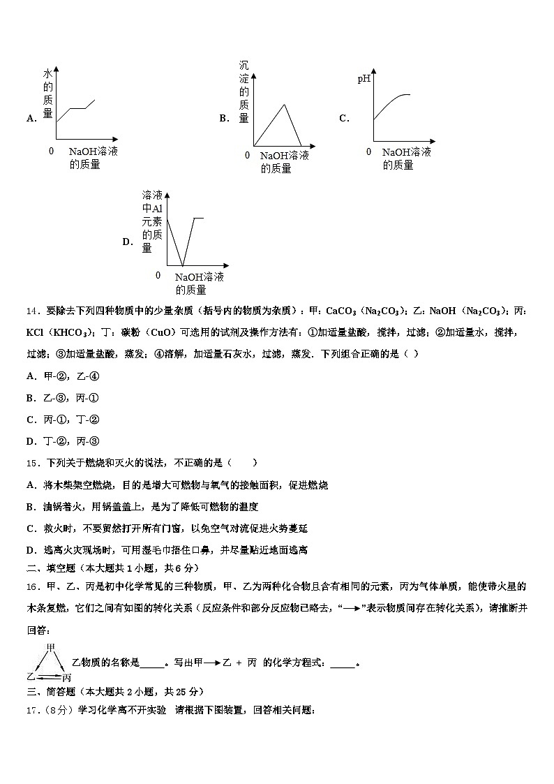 湛江市2026年中考化学适应性模拟试题（含答案解析）第3页
