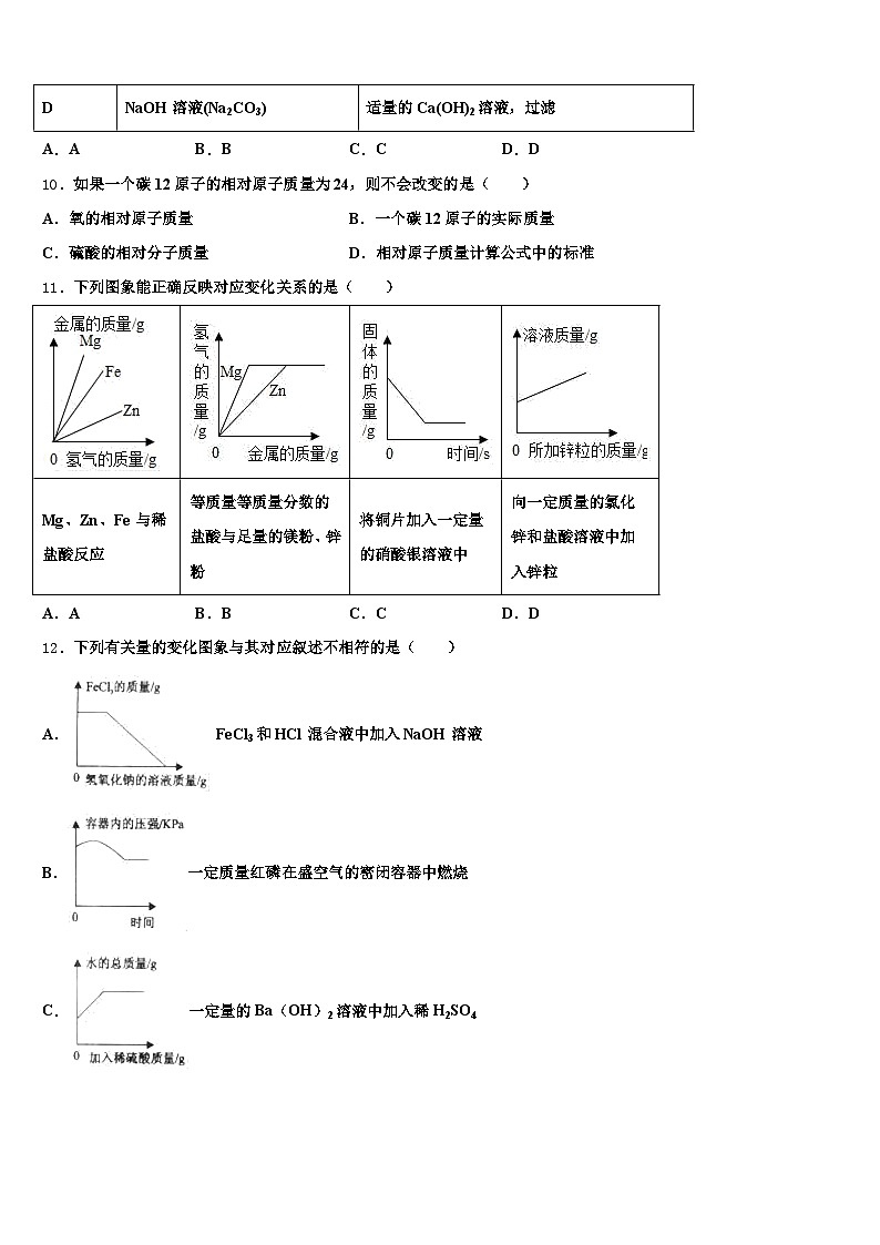 山东省德州市2026年中考冲刺卷化学试题（含答案解析）第3页