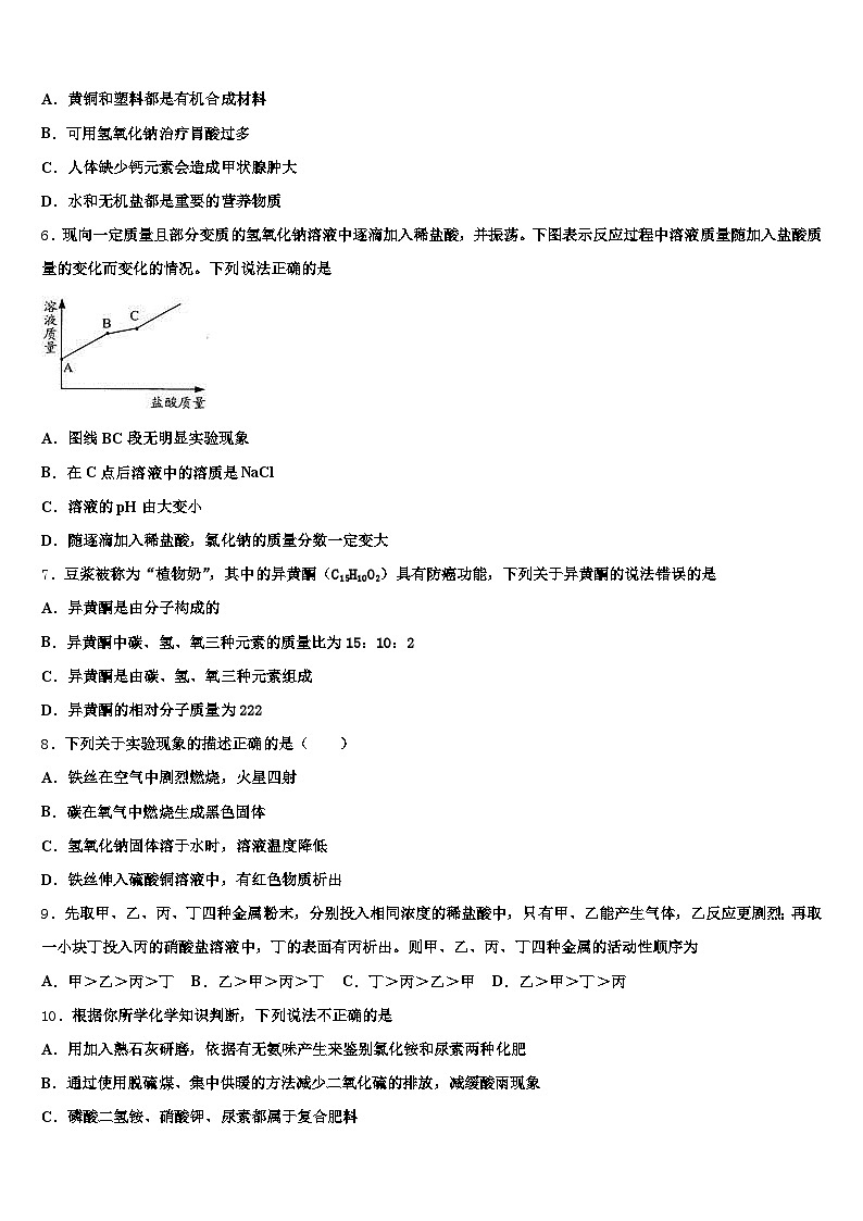 资阳市2025-2026学年中考化学模拟精编试卷（含答案解析）第2页