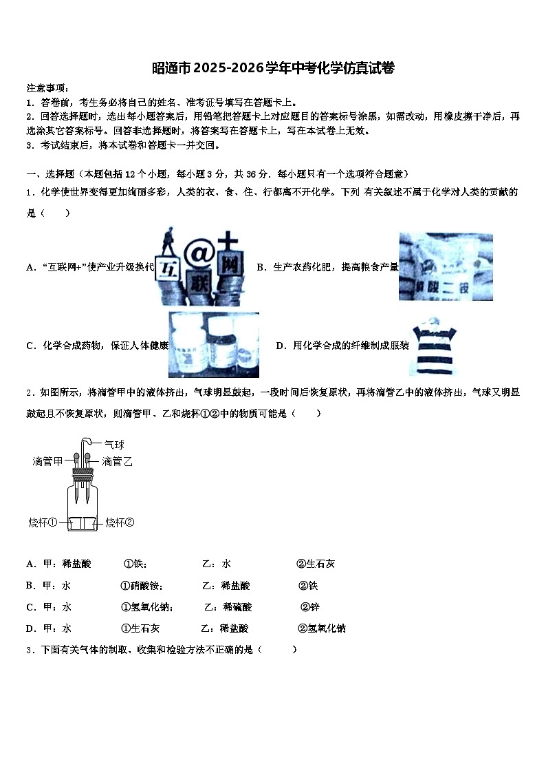 昭通市2025-2026学年中考化学仿真试卷（含答案解析）第1页