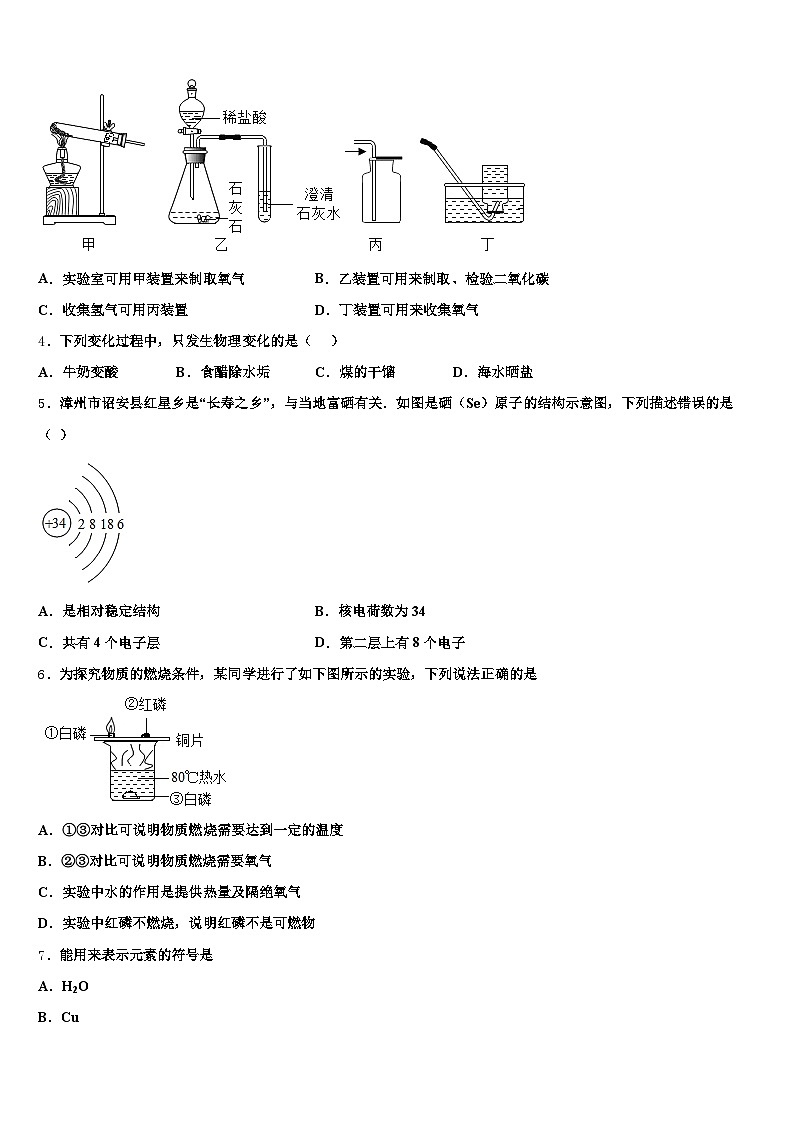 昭通市2025-2026学年中考化学仿真试卷（含答案解析）第2页