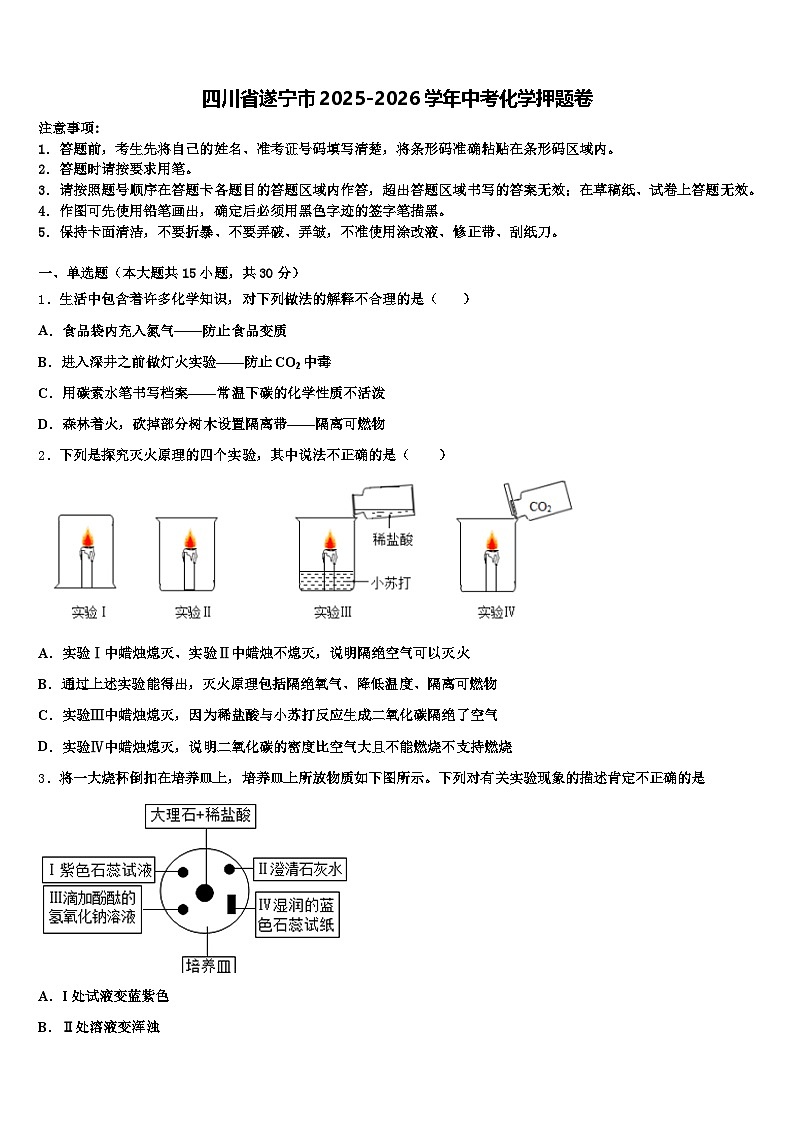 四川省遂宁市2025-2026学年中考化学押题卷（含答案解析）第1页