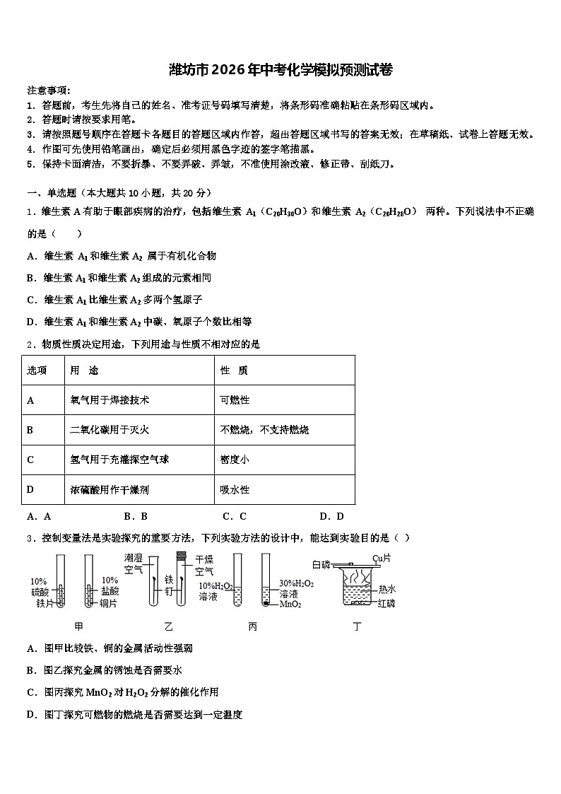 潍坊市2026年中考化学模拟预测试卷（含答案解析）第1页