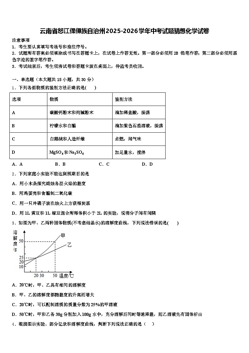 云南省怒江傈僳族自治州2025-2026学年中考试题猜想化学试卷（含答案解析）第1页