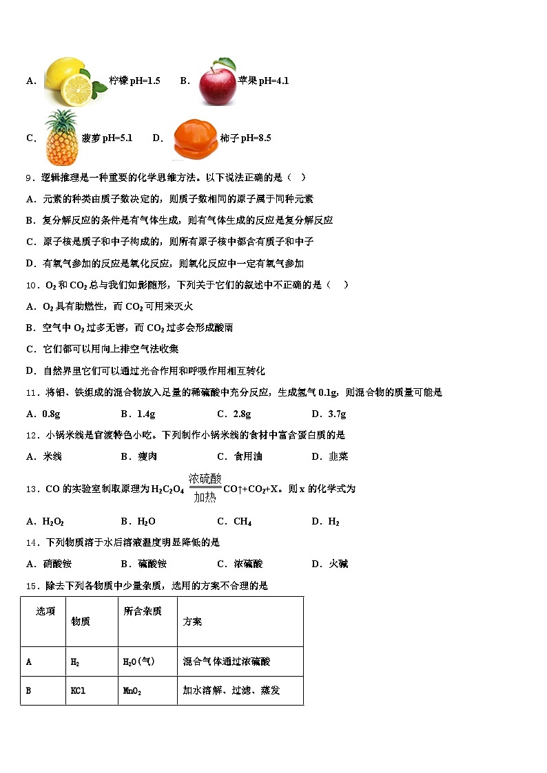 云南省怒江傈僳族自治州2025-2026学年中考试题猜想化学试卷（含答案解析）第3页