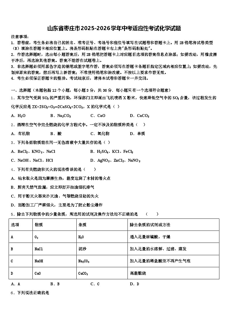 山东省枣庄市2025-2026学年中考适应性考试化学试题（含答案解析）第1页