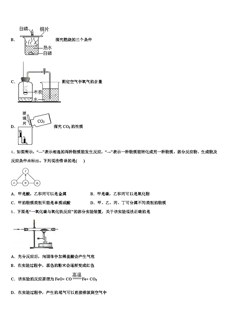 四川省绵阳市2025-2026学年中考化学全真模拟试题（含答案解析）第2页