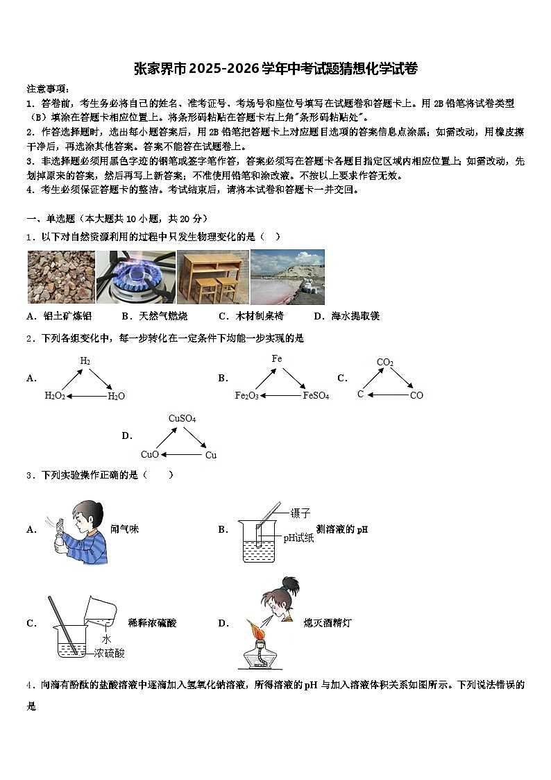 张家界市2025-2026学年中考试题猜想化学试卷（含答案解析）第1页