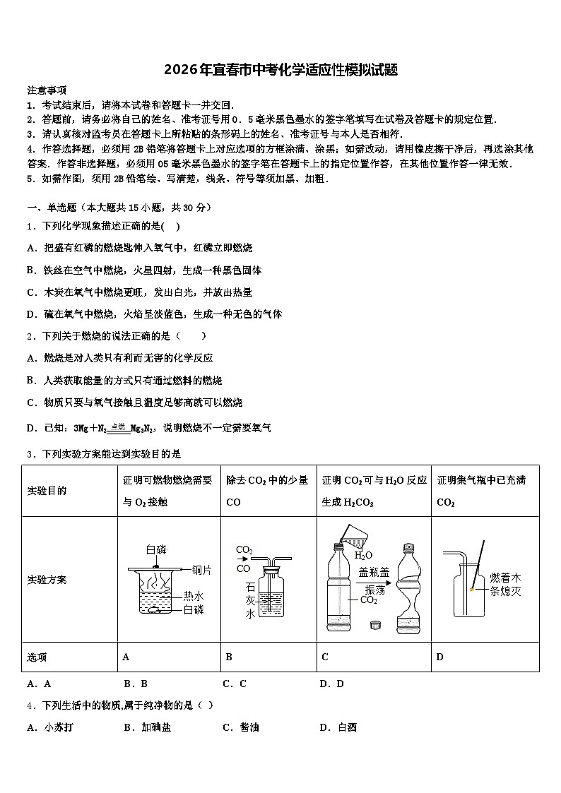 2026年宜春市中考化学适应性模拟试题（含答案解析）第1页