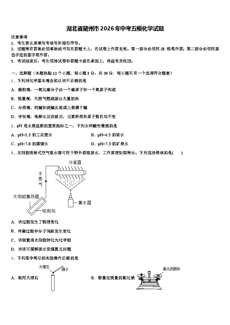 湖北省随州市2026年中考五模化学试题（含答案解析）第1页