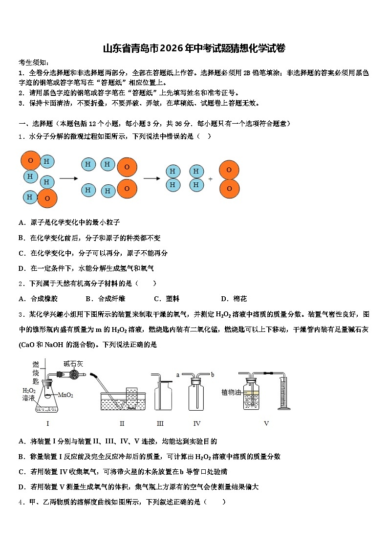 山东省青岛市2026年中考试题猜想化学试卷（含答案解析）第1页