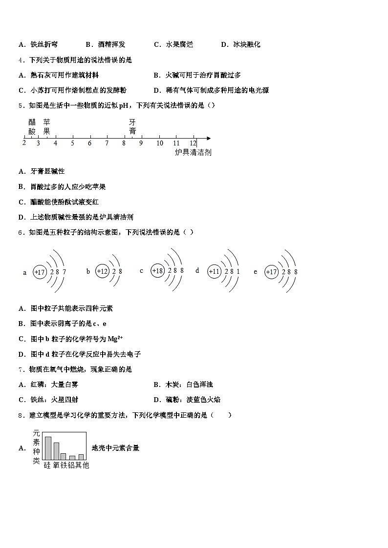 常州市2025-2026学年初中化学毕业考试模拟冲刺卷（含答案解析）第2页
