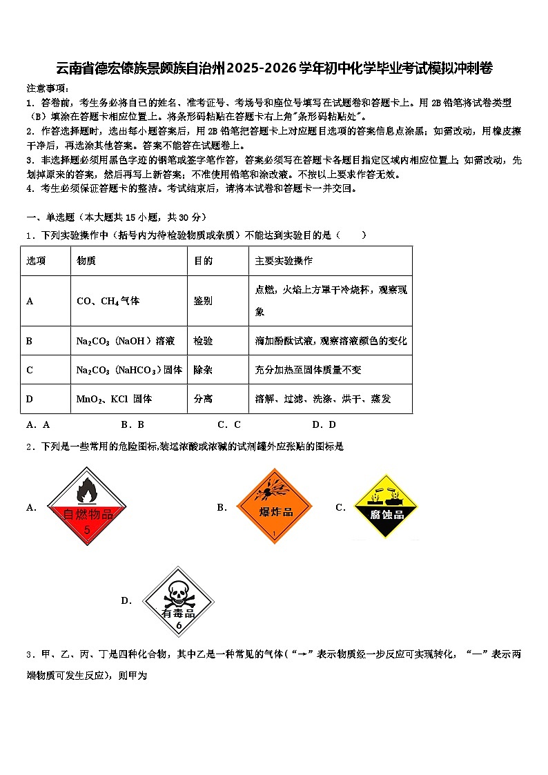 云南省德宏傣族景颇族自治州2025-2026学年初中化学毕业考试模拟冲刺卷（含答案解析）第1页