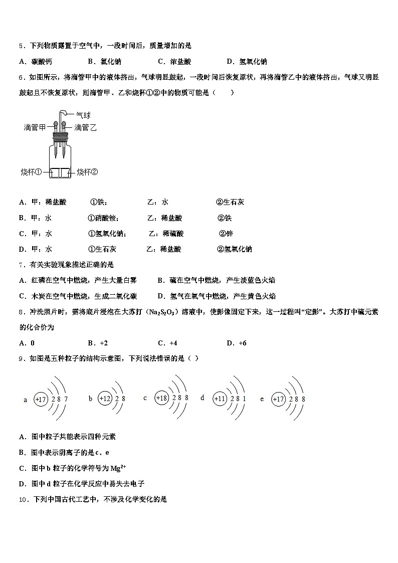 安顺市2026年中考试题猜想化学试卷（含答案解析）第2页