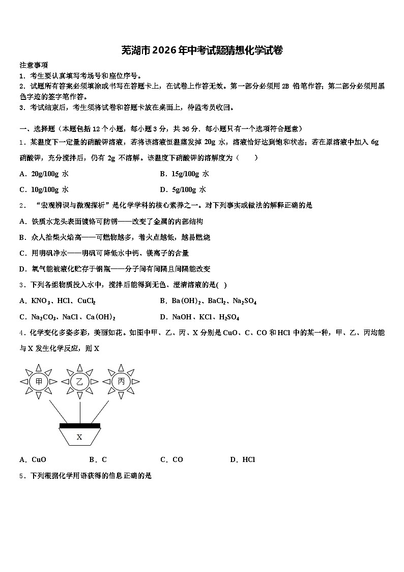 芜湖市2026年中考试题猜想化学试卷（含答案解析）第1页