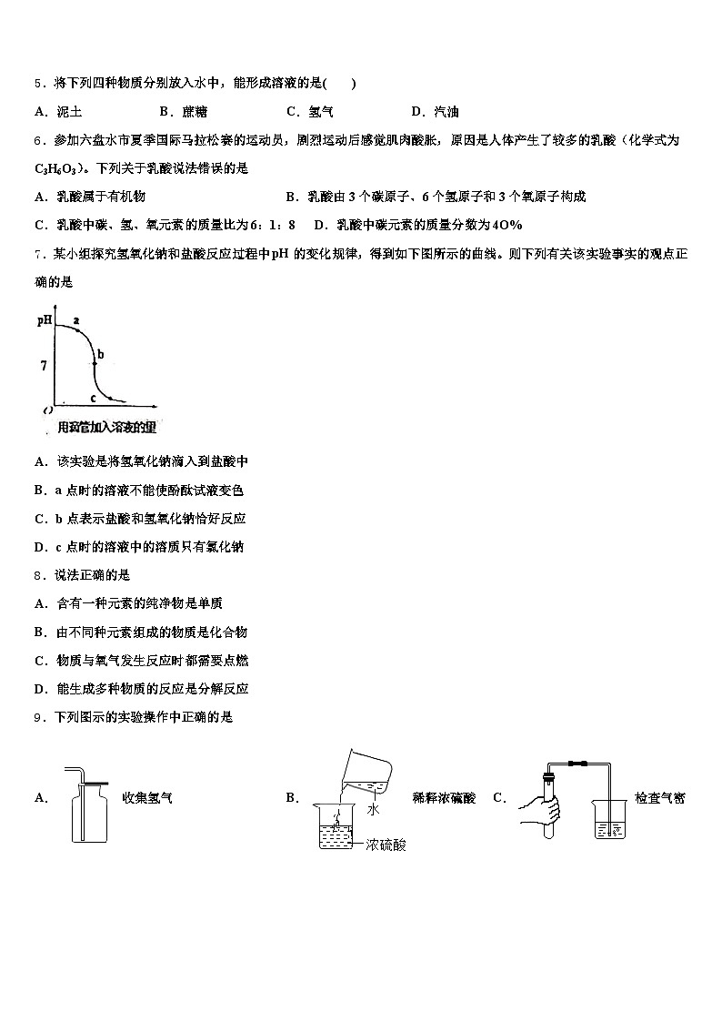 四川省绵阳市2025-2026学年中考化学押题卷（含答案解析）第2页
