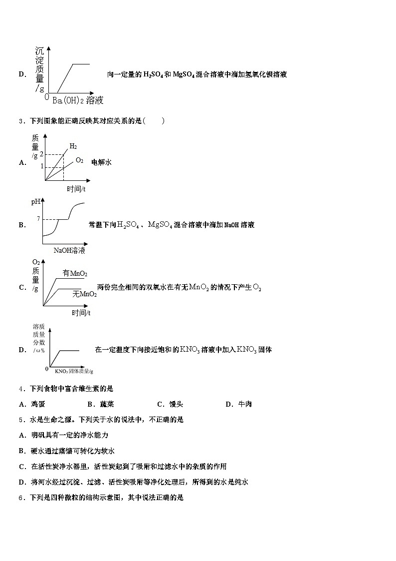 贵州省贵阳市2025-2026学年中考化学最后冲刺浓缩精华卷（含答案解析）第2页