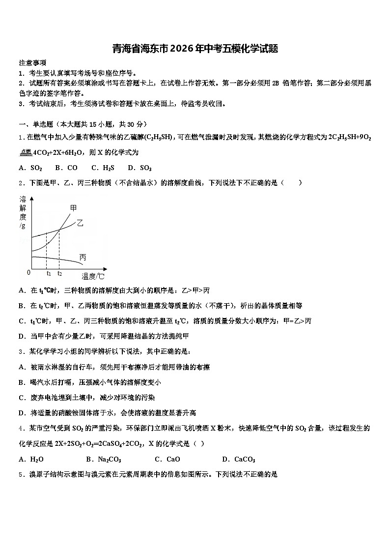 青海省海东市2026年中考五模化学试题（含答案解析）第1页