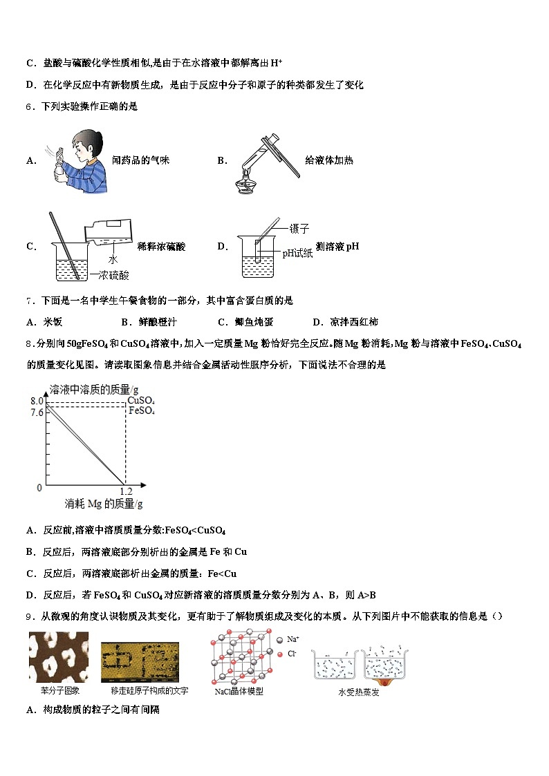 辽宁省阜新市2025-2026学年中考三模化学试题（含答案解析）第2页