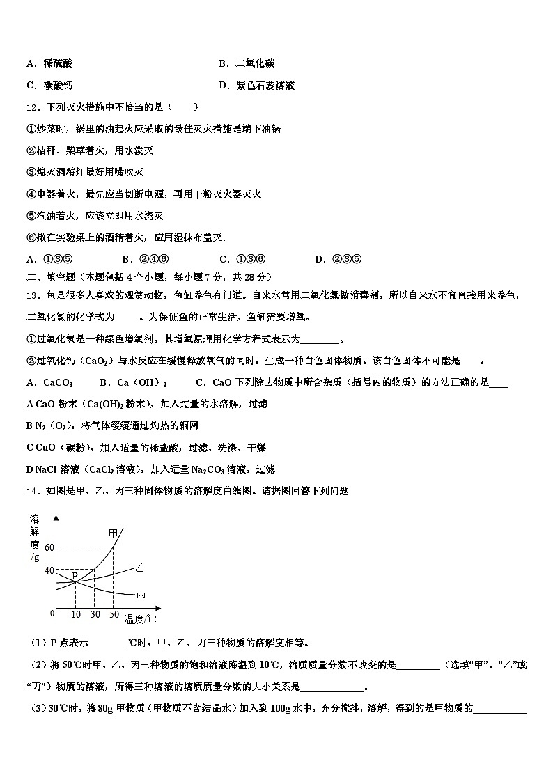 新疆维吾尔自治区喀什地区2025-2026学年中考化学猜题卷（含答案解析）第3页