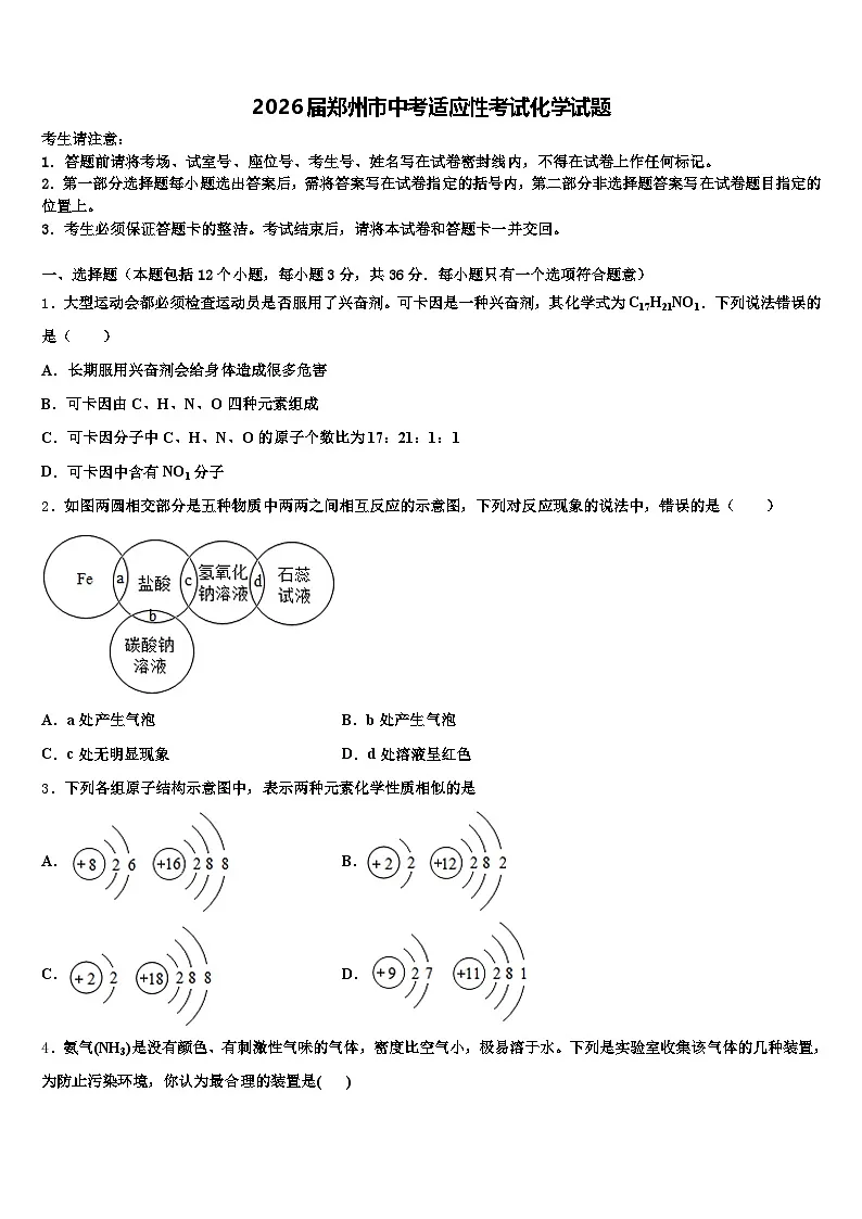 2026届郑州市中考适应性考试化学试题（含答案解析）第1页