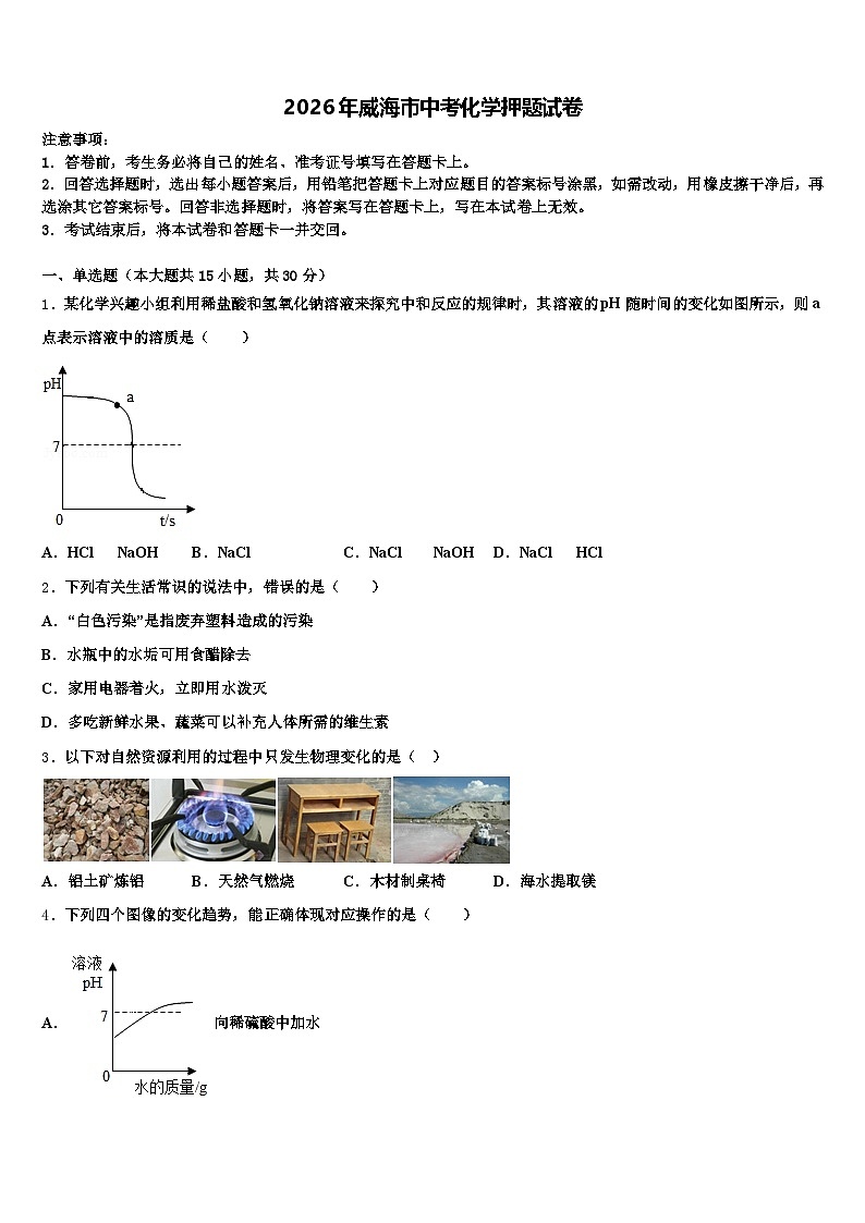 2026年威海市中考化学押题试卷（含答案解析）第1页