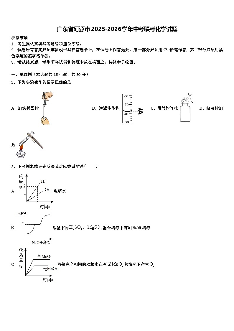 广东省河源市2025-2026学年中考联考化学试题（含答案解析）第1页