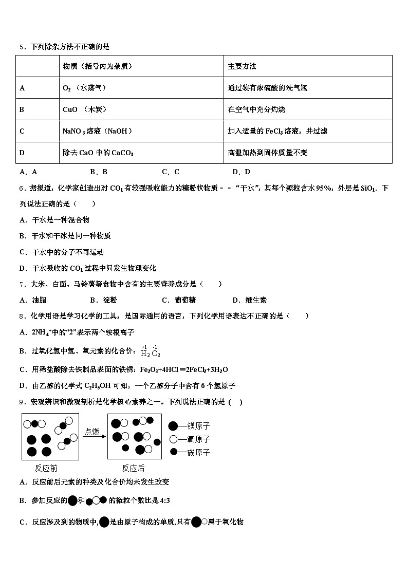 曲靖市2025-2026学年初中化学毕业考试模拟冲刺卷（含答案解析）第2页