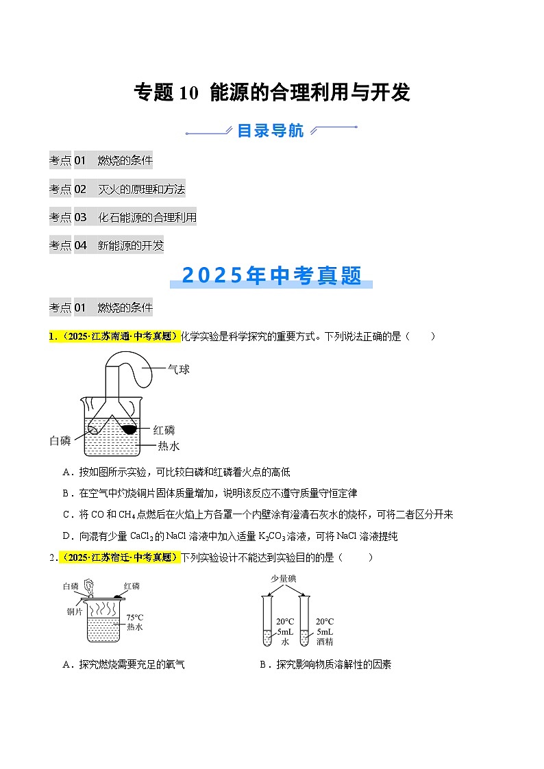 专题10 能源的合理利用与开发（全国通用）（原卷版）第1页