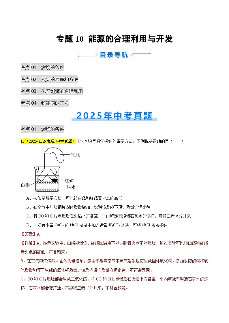 专题10 能源的合理利用与开发（全国通用）（解析版）第1页