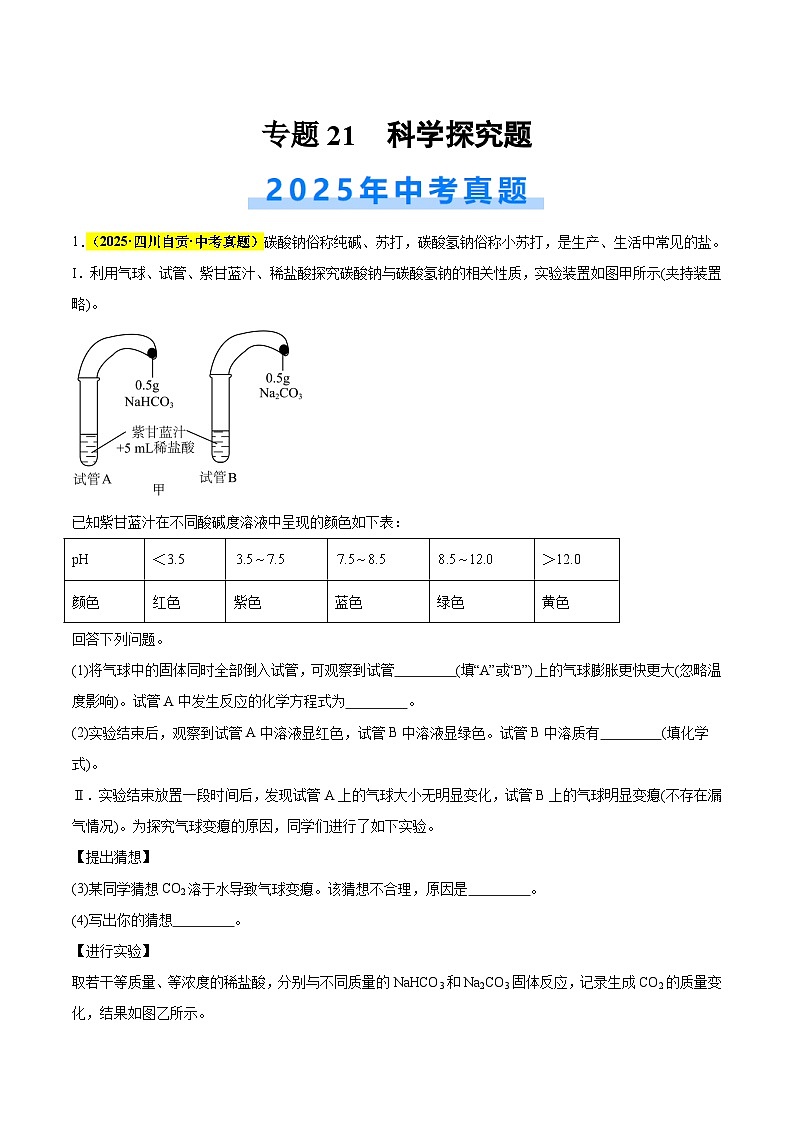 专题21 科学探究题（全国通用）（原卷版）第1页