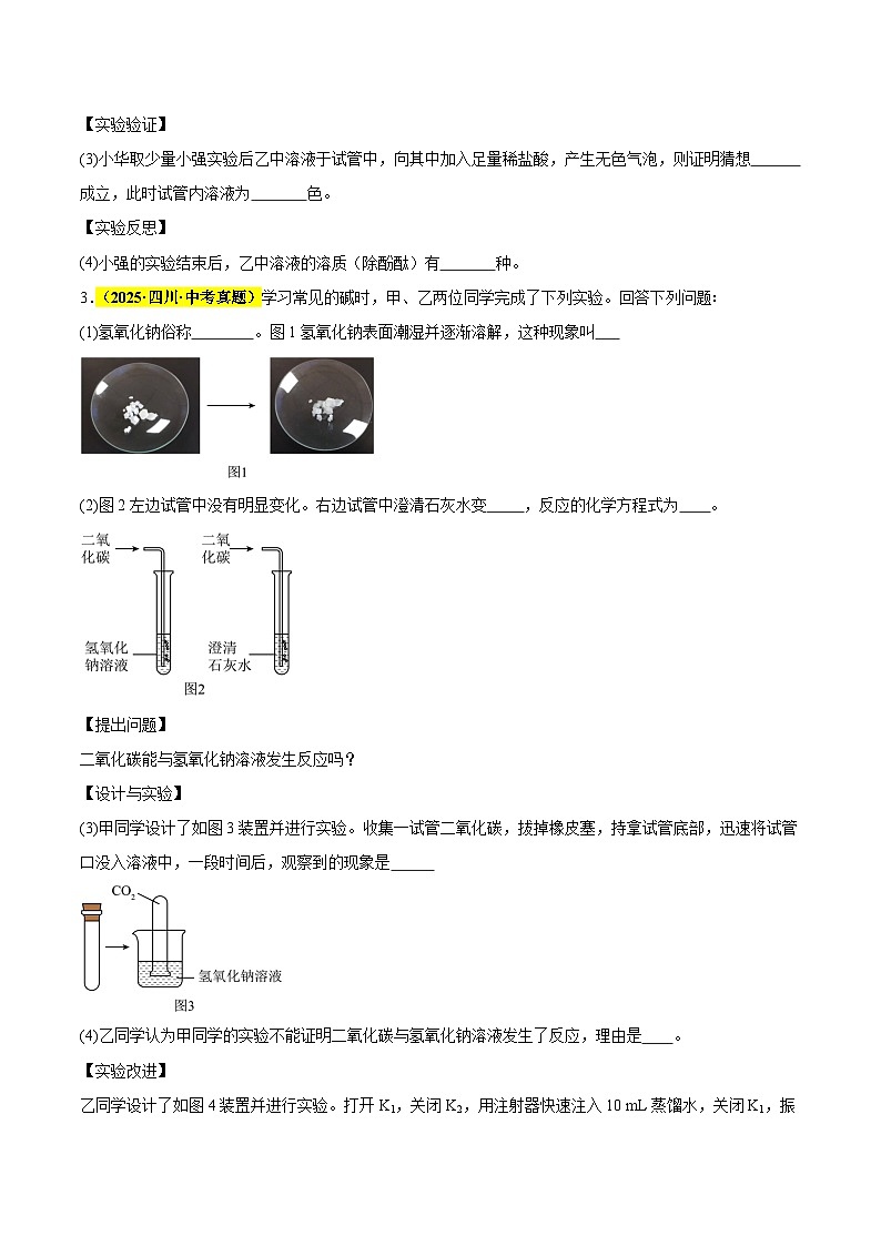 专题21 科学探究题（全国通用）（原卷版）第3页