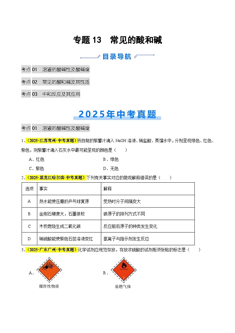 专题13 常见的酸和碱（全国通用）（原卷版）第1页
