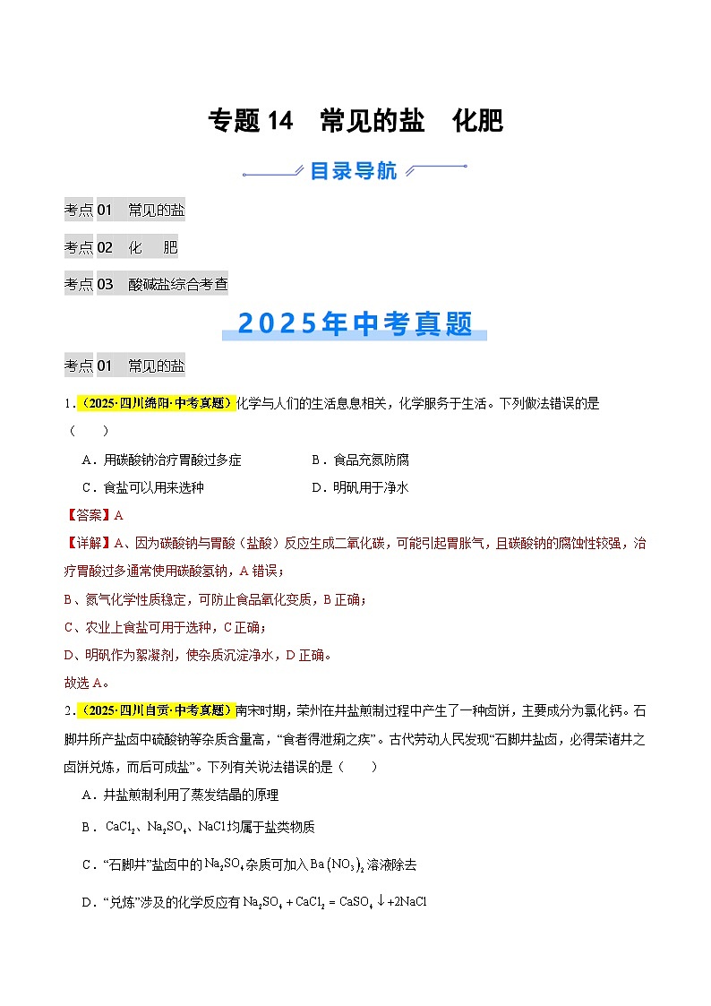 专题14 常见的盐 化肥（全国通用）（解析版）第1页