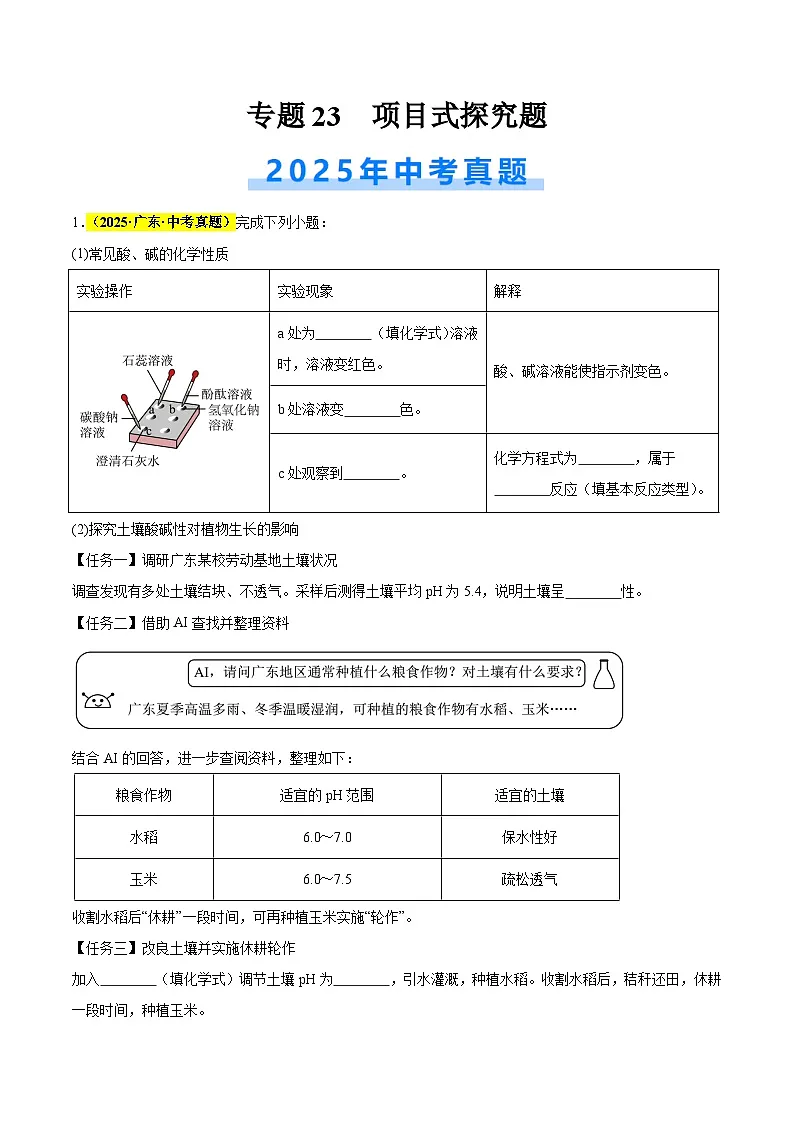 专题23 项目式探究题（全国通用）（解析版）第1页