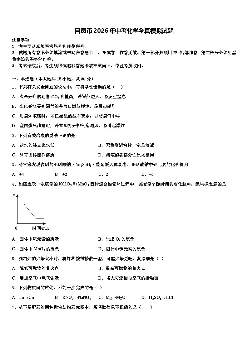 自贡市2026年中考化学全真模拟试题（含答案解析）第1页