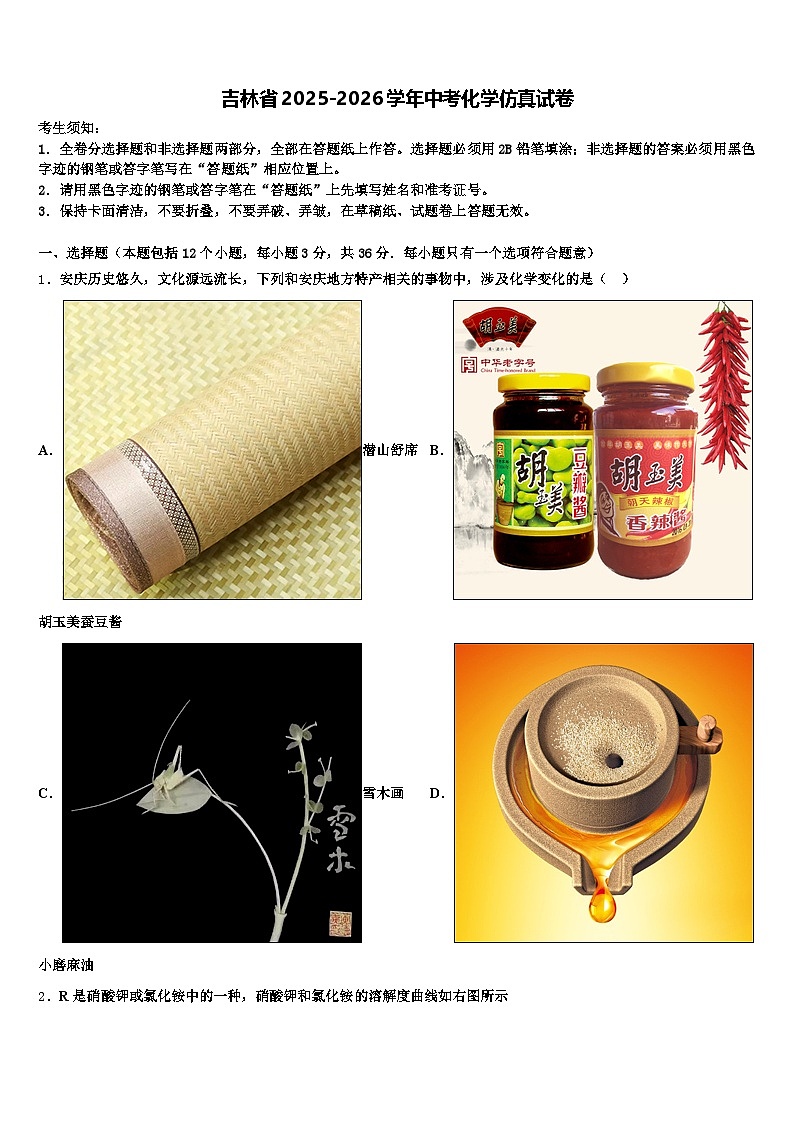 吉林省2025-2026学年中考化学仿真试卷（含答案解析）第1页