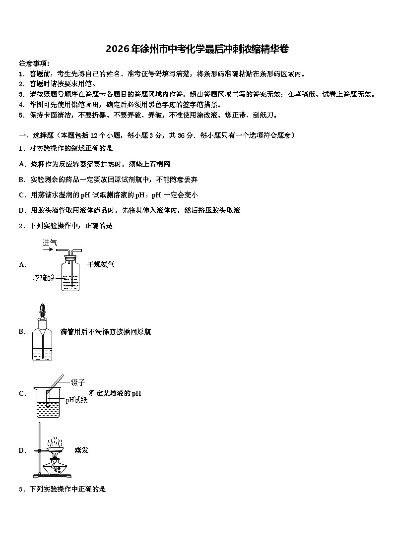 2026年徐州市中考化学最后冲刺浓缩精华卷（含答案解析）第1页