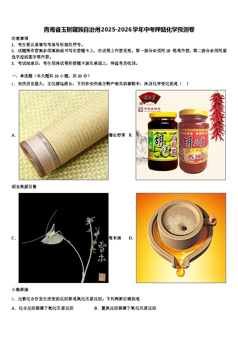 青海省玉树藏族自治州2025-2026学年中考押题化学预测卷（含答案解析）第1页