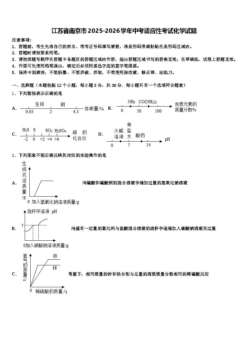 江苏省南京市2025-2026学年中考适应性考试化学试题（含答案解析）第1页