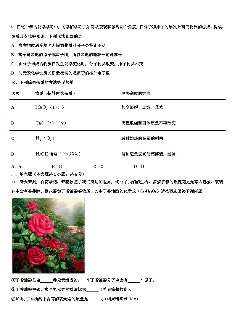 广东省阳江市2025-2026学年中考化学最后一模试卷（含答案解析）第3页