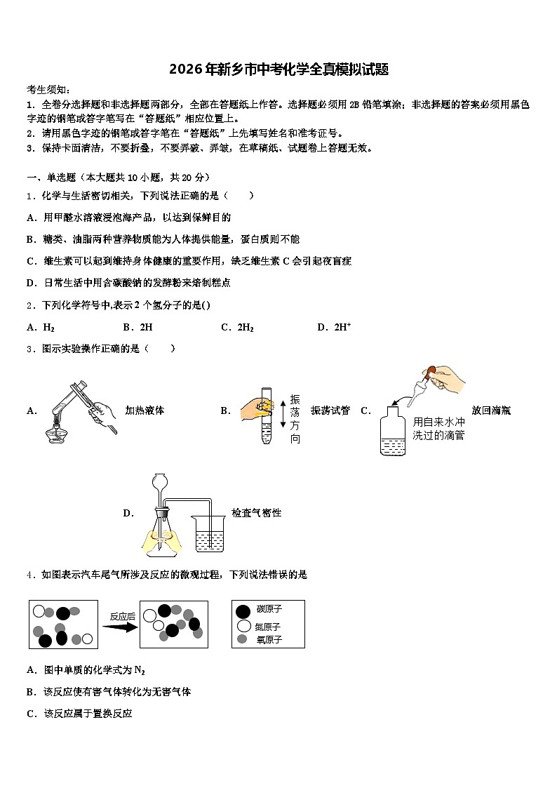 2026年新乡市中考化学全真模拟试题（含答案解析）第1页