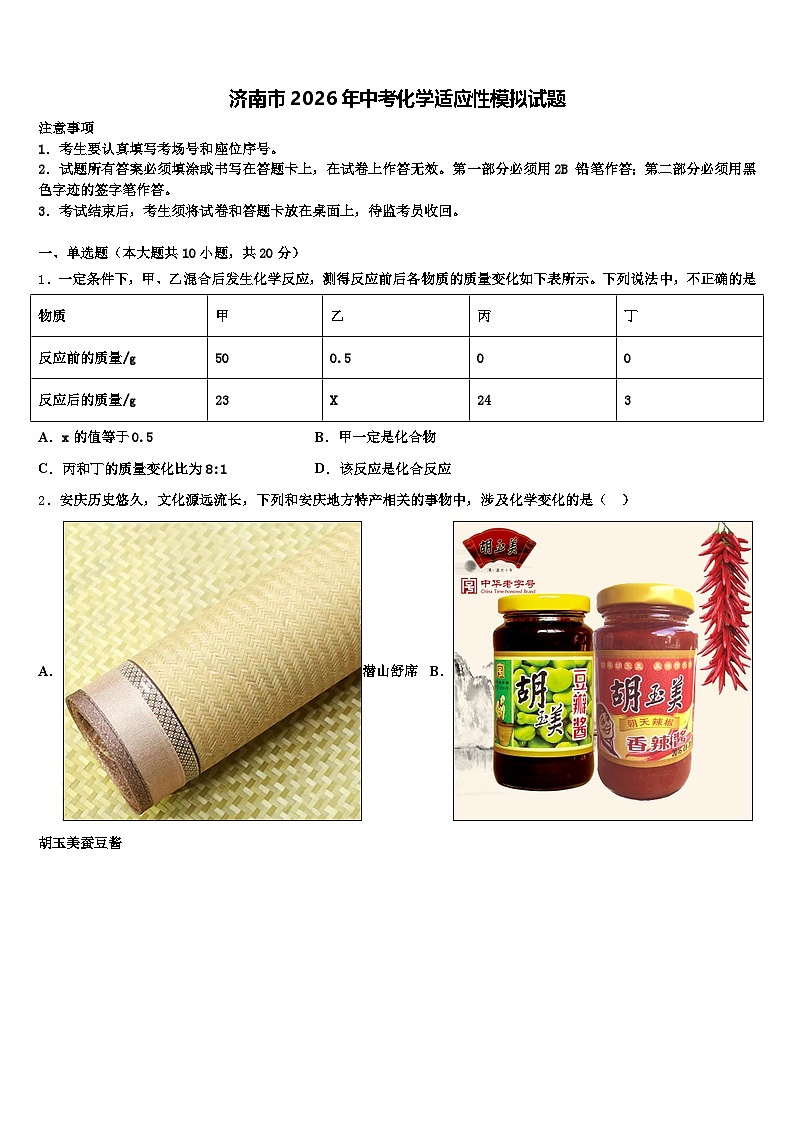 济南市2026年中考化学适应性模拟试题（含答案解析）第1页