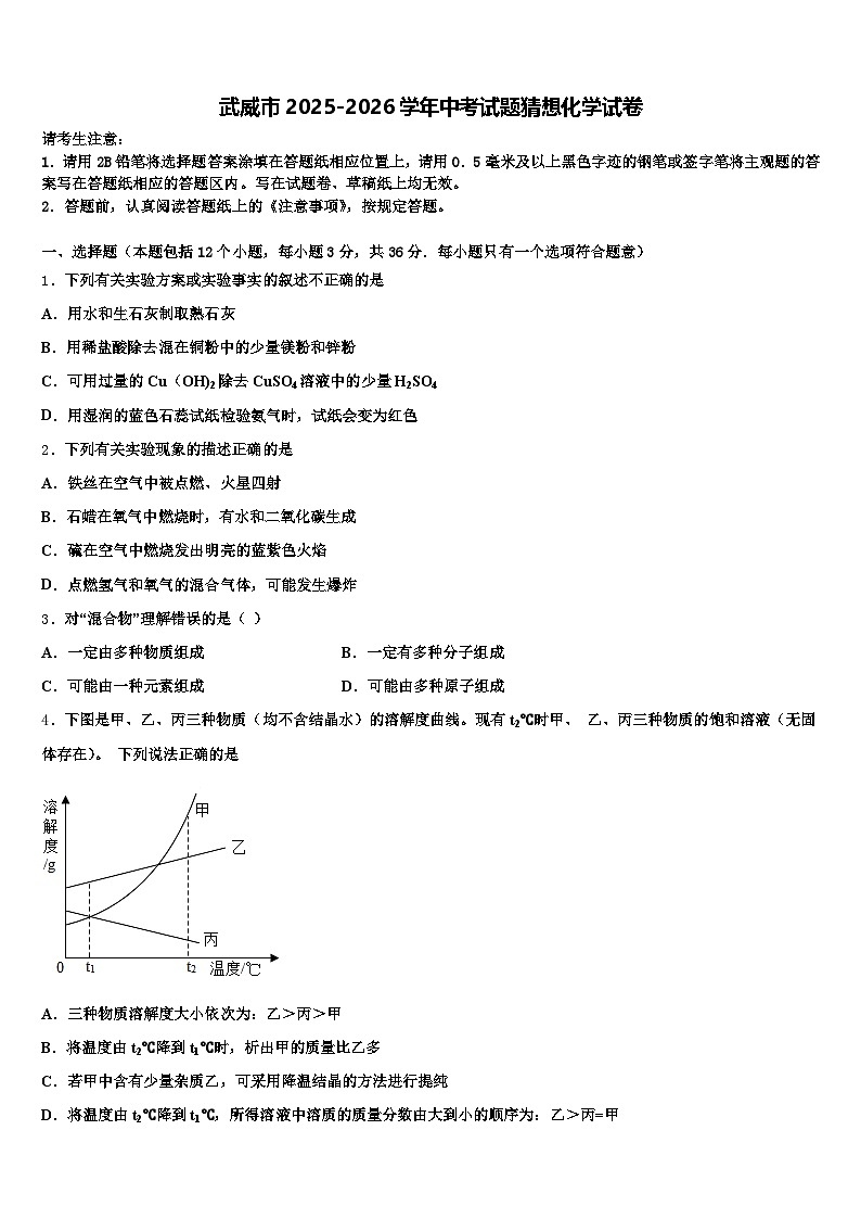 武威市2025-2026学年中考试题猜想化学试卷（含答案解析）第1页