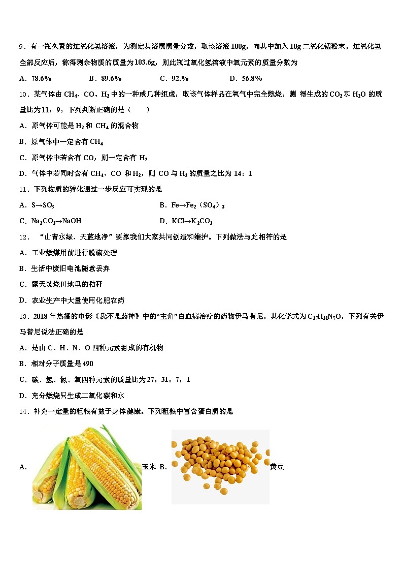 延安市2025-2026学年中考化学最后冲刺模拟试卷（含答案解析）第3页